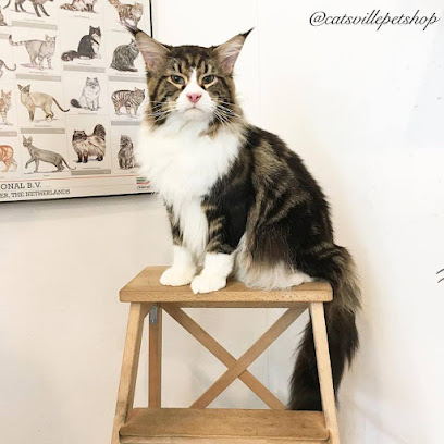 Catsville Pet Shop