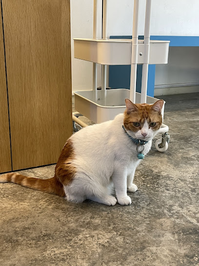 KLINIK HAIWAN iVET PETCARE Bandar Kinrara 5