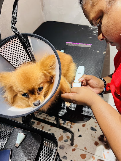 FURRY PAWS SUBANG (Pet shop , Grooming & Boarding)