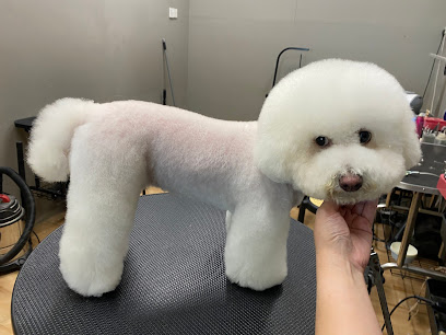 Generation Pets - Rabbit & Dog Grooming