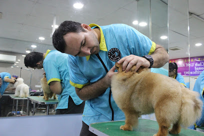Doggy Doge Grooming & Training Academy
