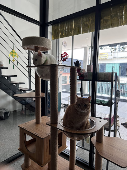 Meowhub