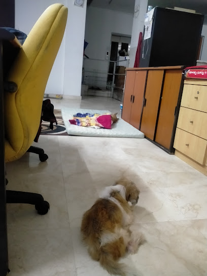Home Stay犬宿