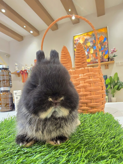 Derek's Bunny House • Puchong
